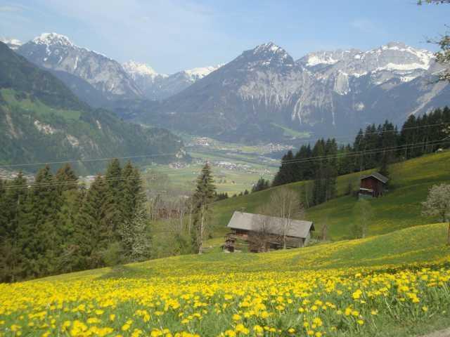 Appartementhaus Eberharter Hart im Zillertal Ruang foto