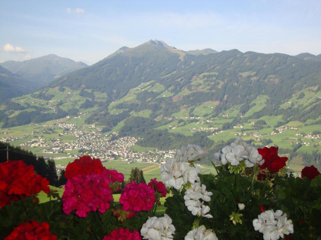 Appartementhaus Eberharter Hart im Zillertal Bagian luar foto