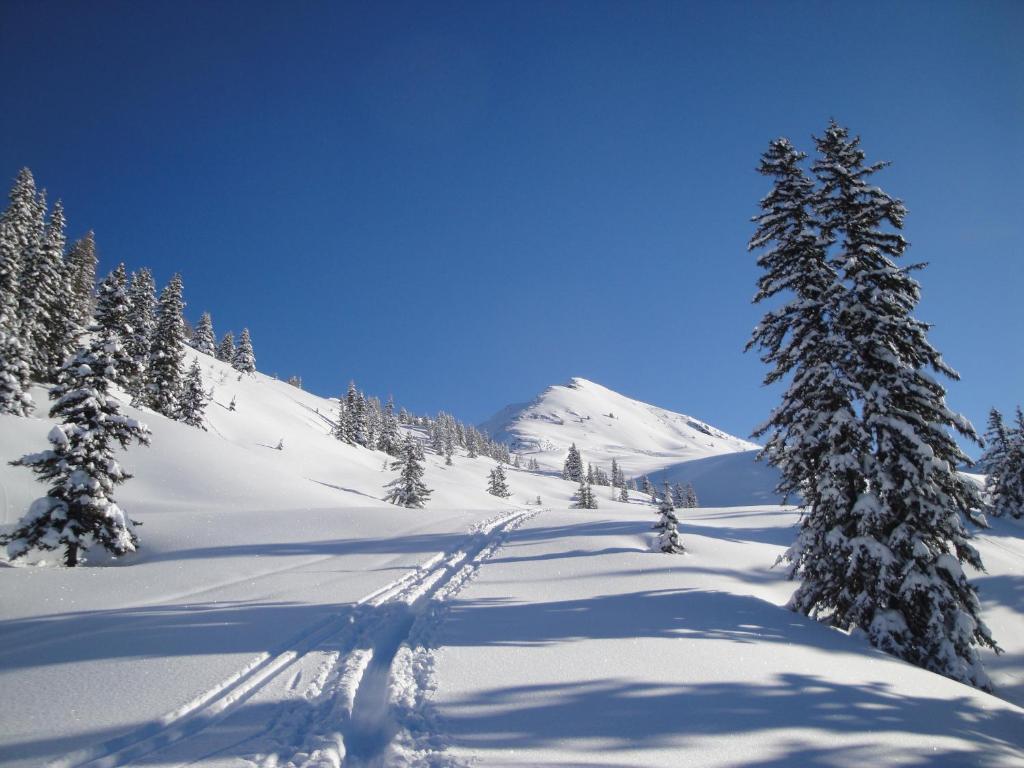 Appartementhaus Eberharter Hart im Zillertal Bagian luar foto